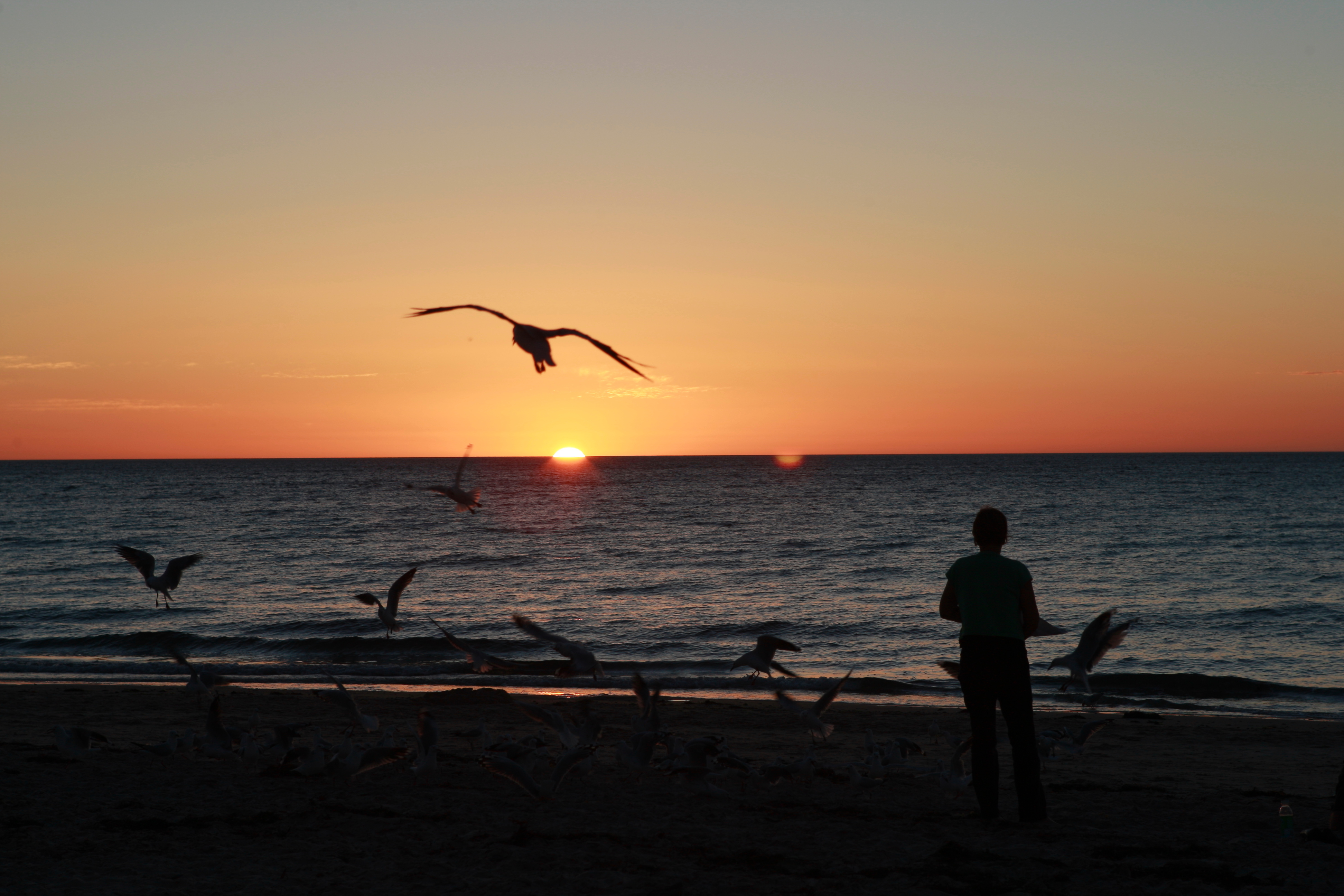 Australia_Beaches_102