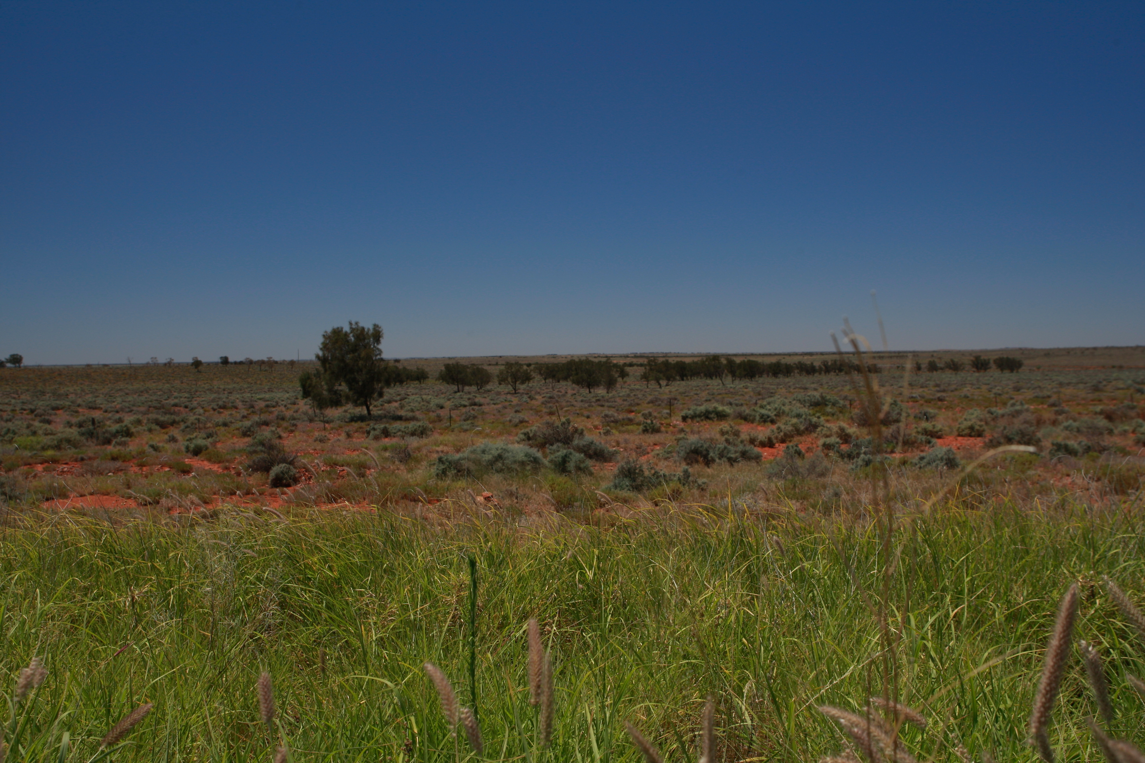 Australia_Outback_17