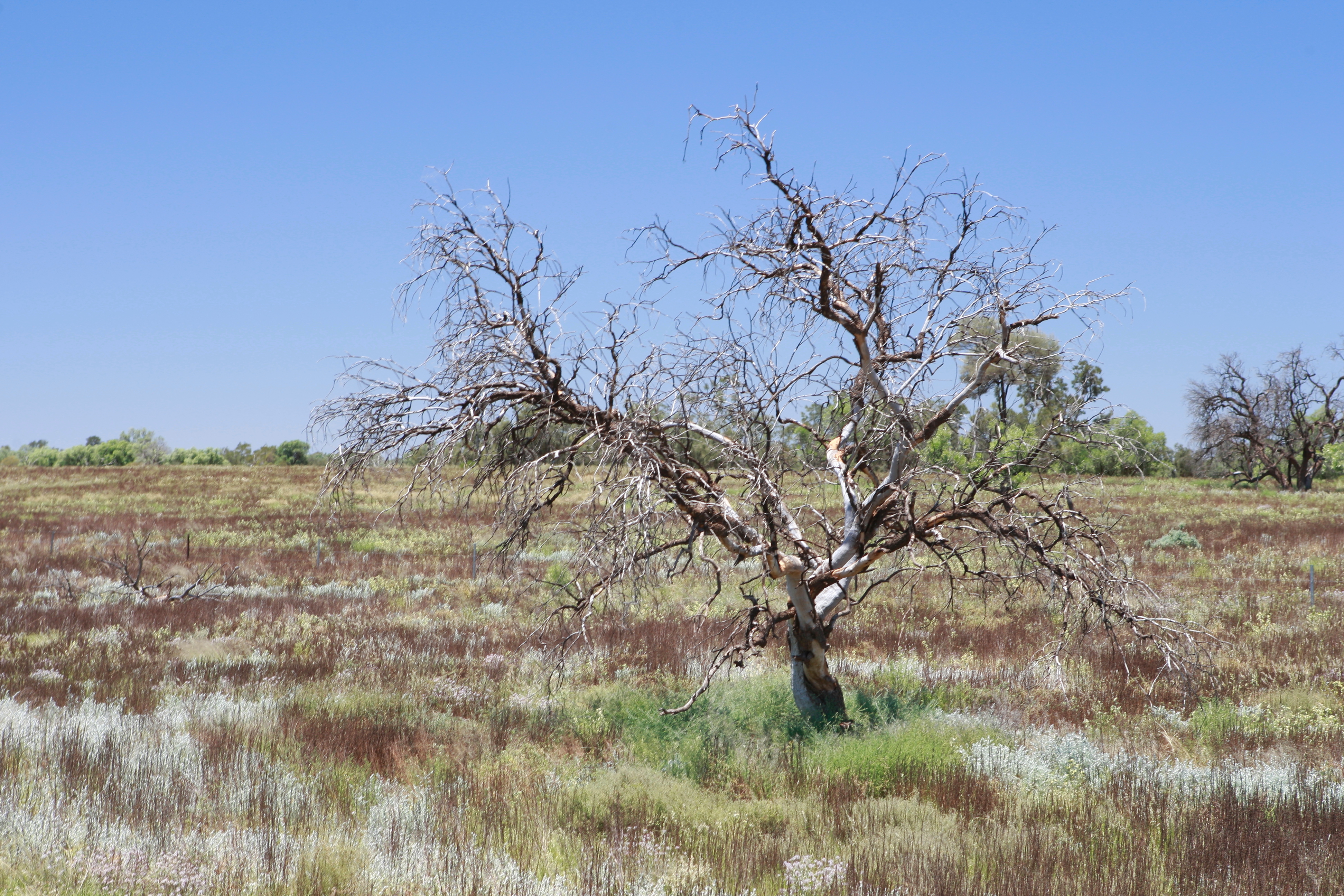 Australia_Outback_19