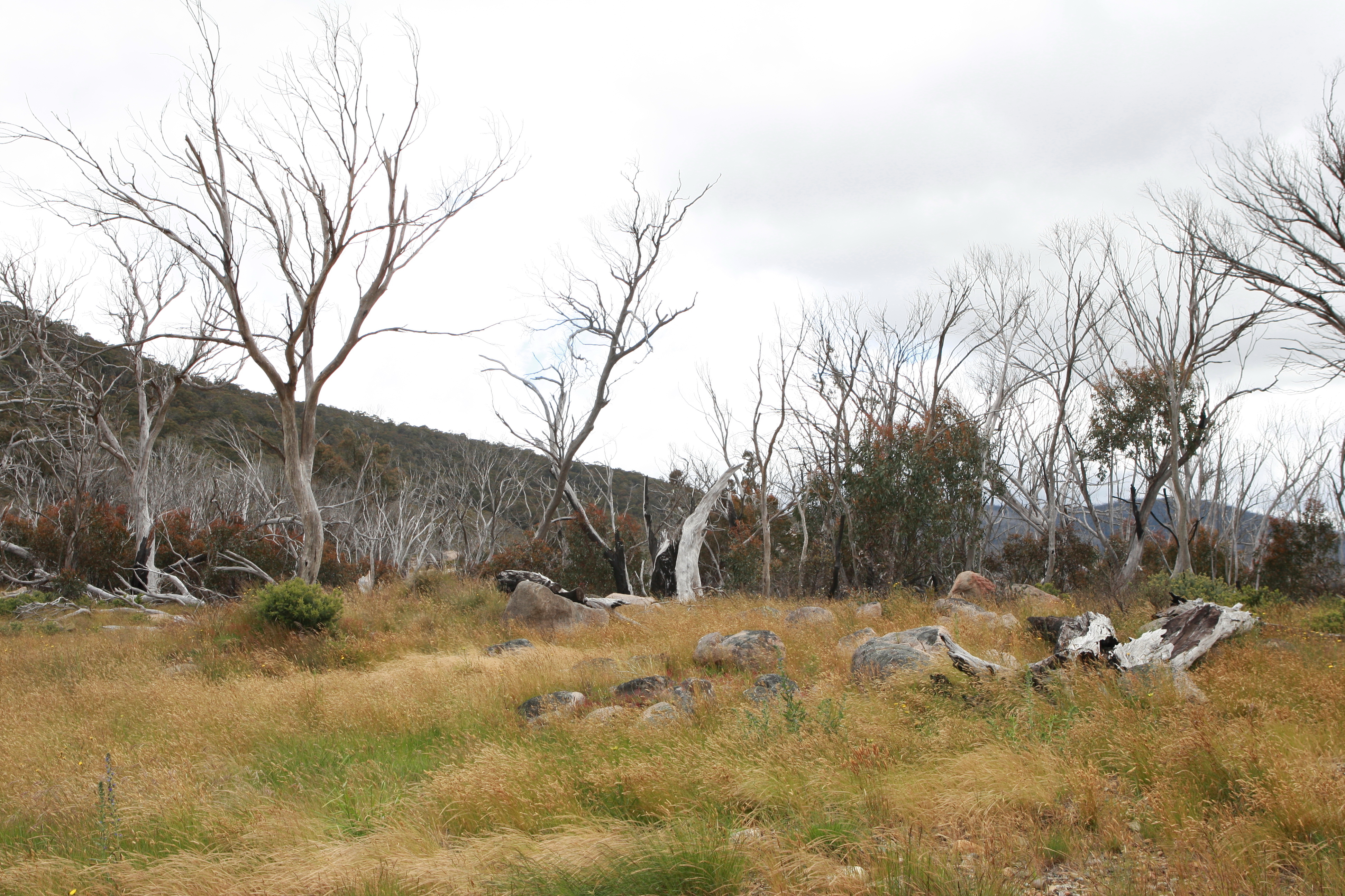 Australia_Outback_41
