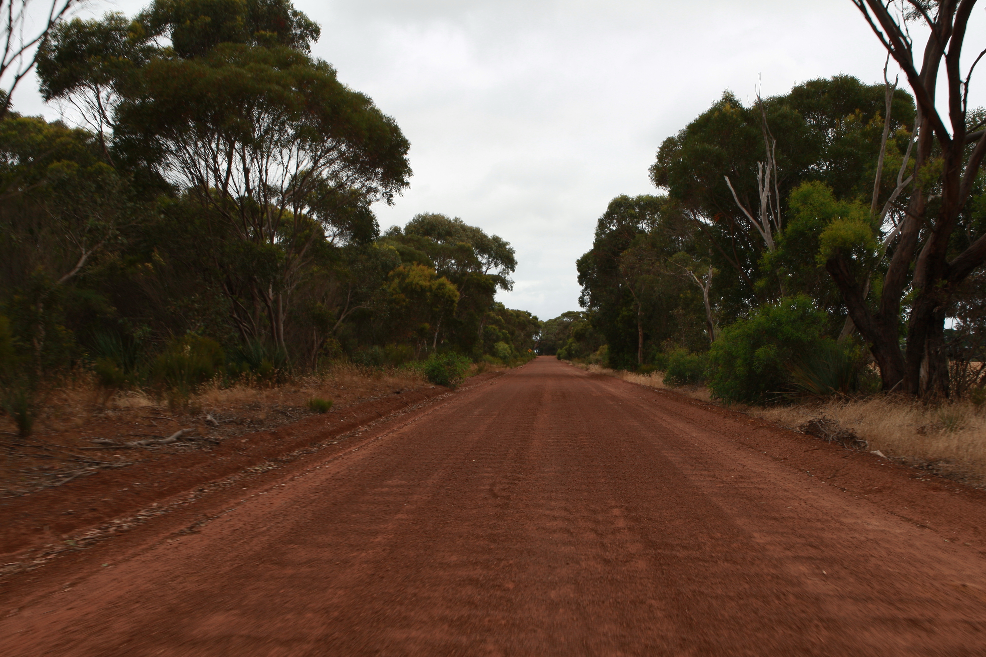 Australia_Outback_54