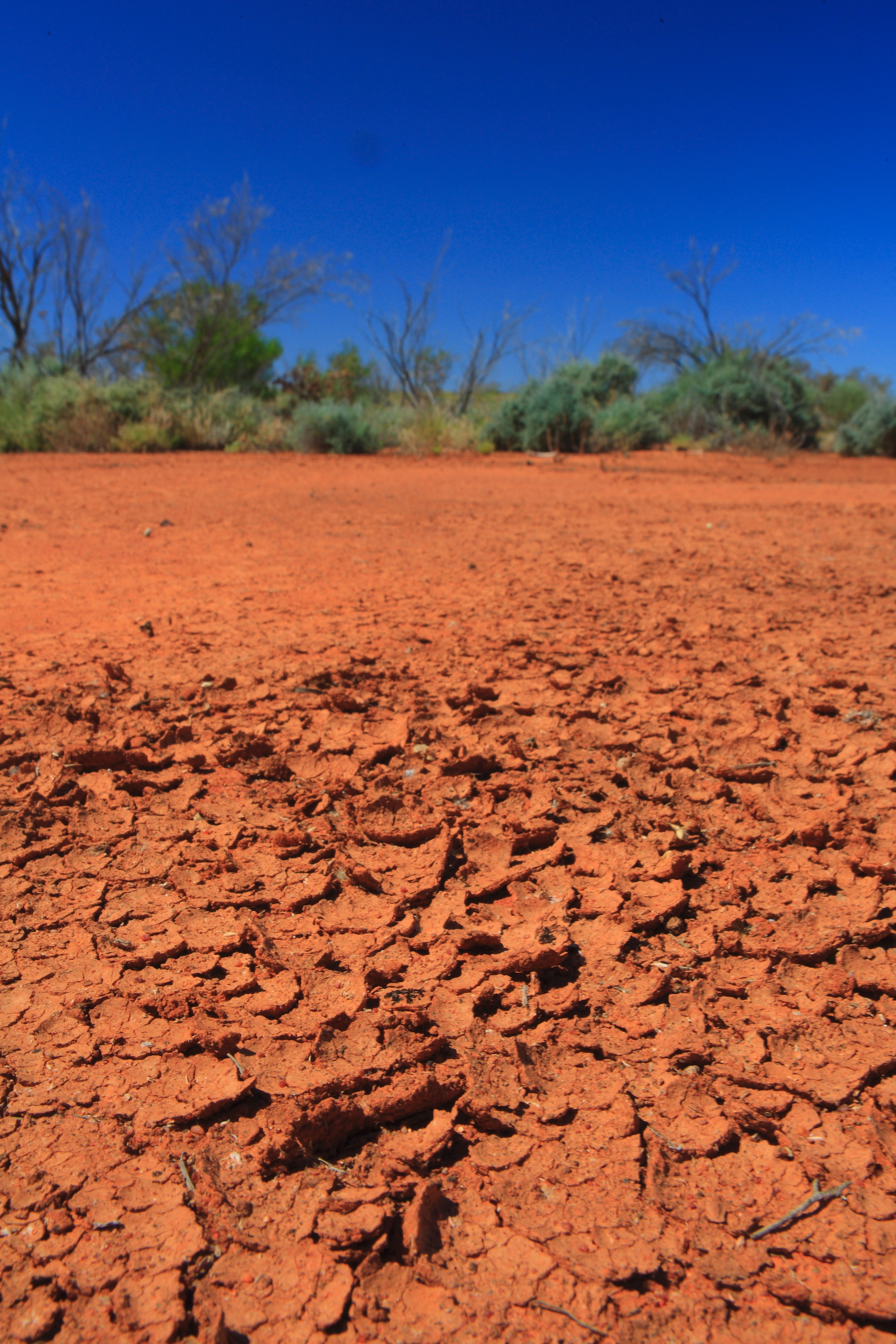 Australia_Outback_62