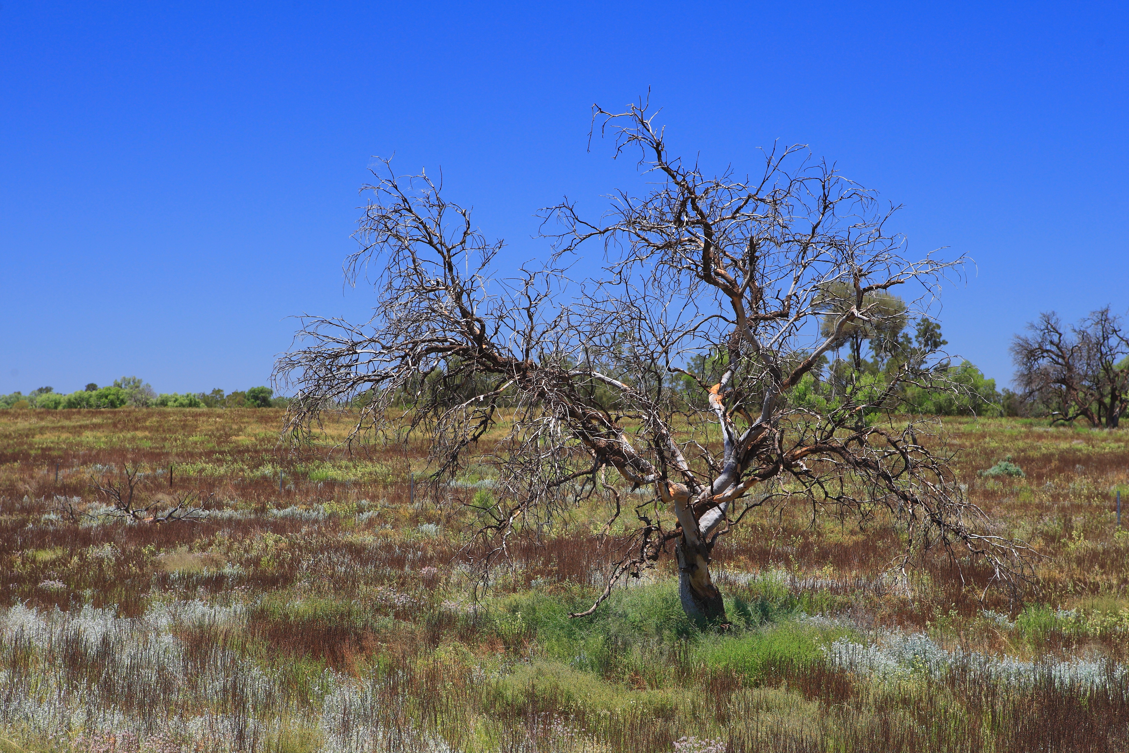 Australia_Outback_64