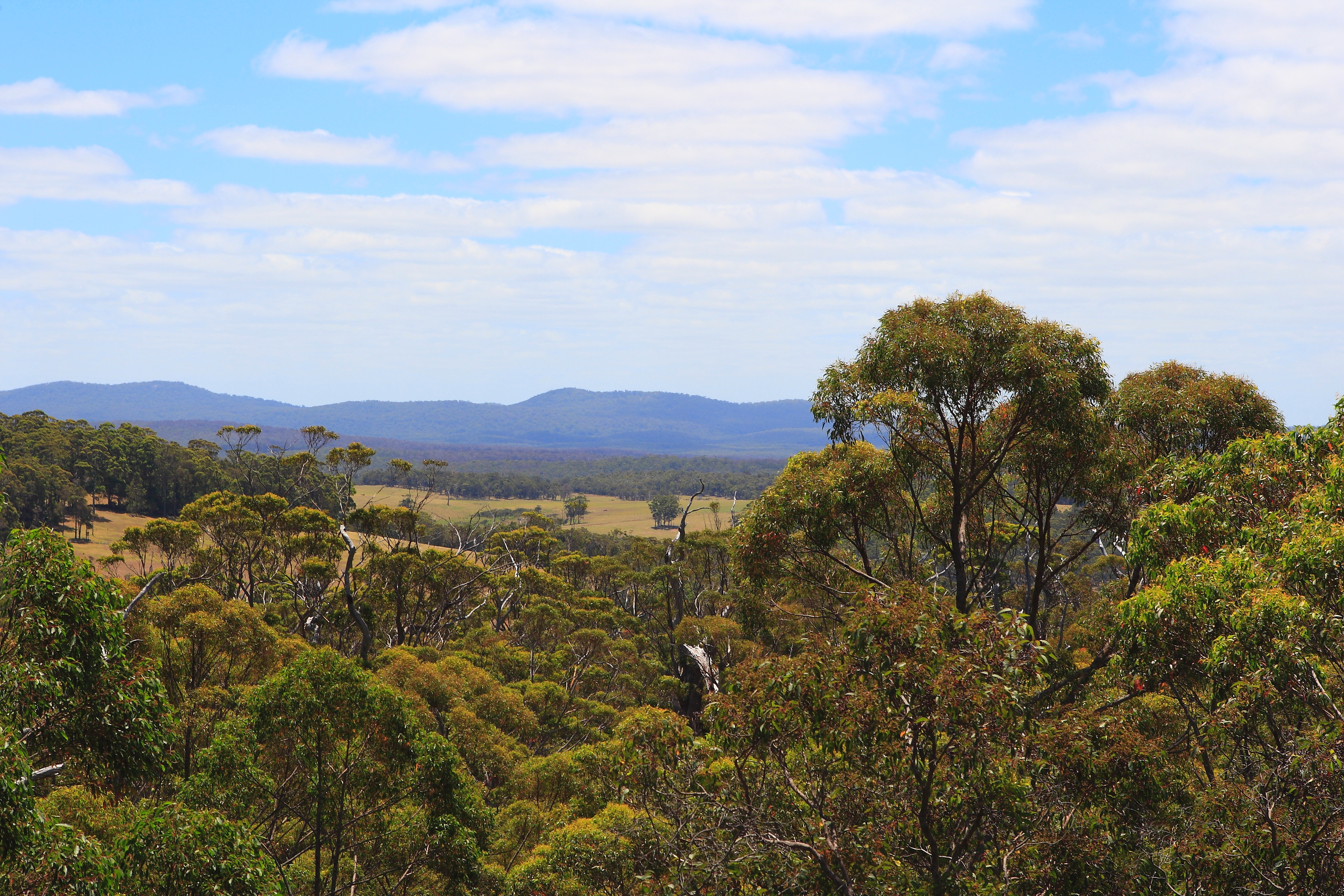 Australia_Outback_70