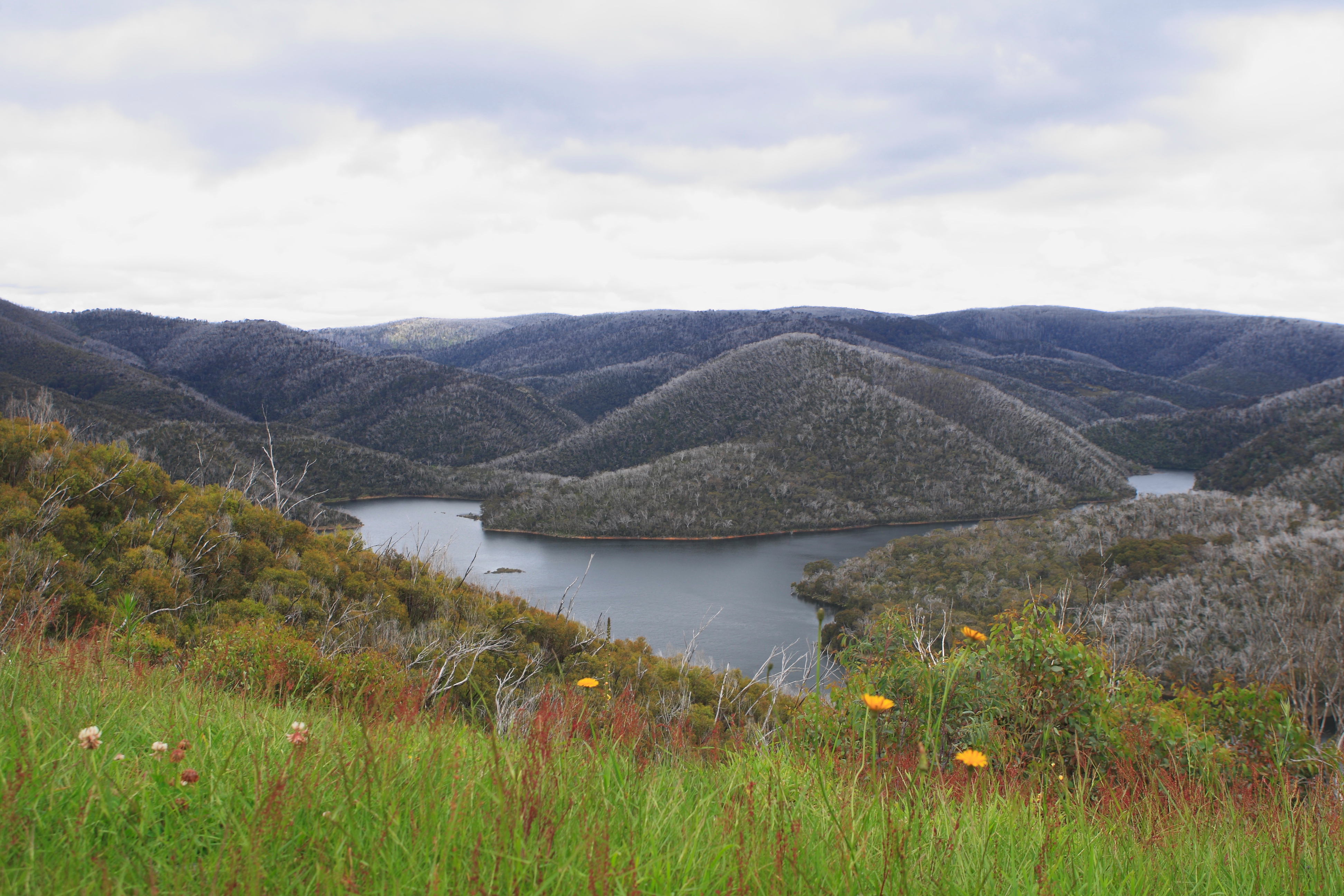 Australia_Tasmania_26